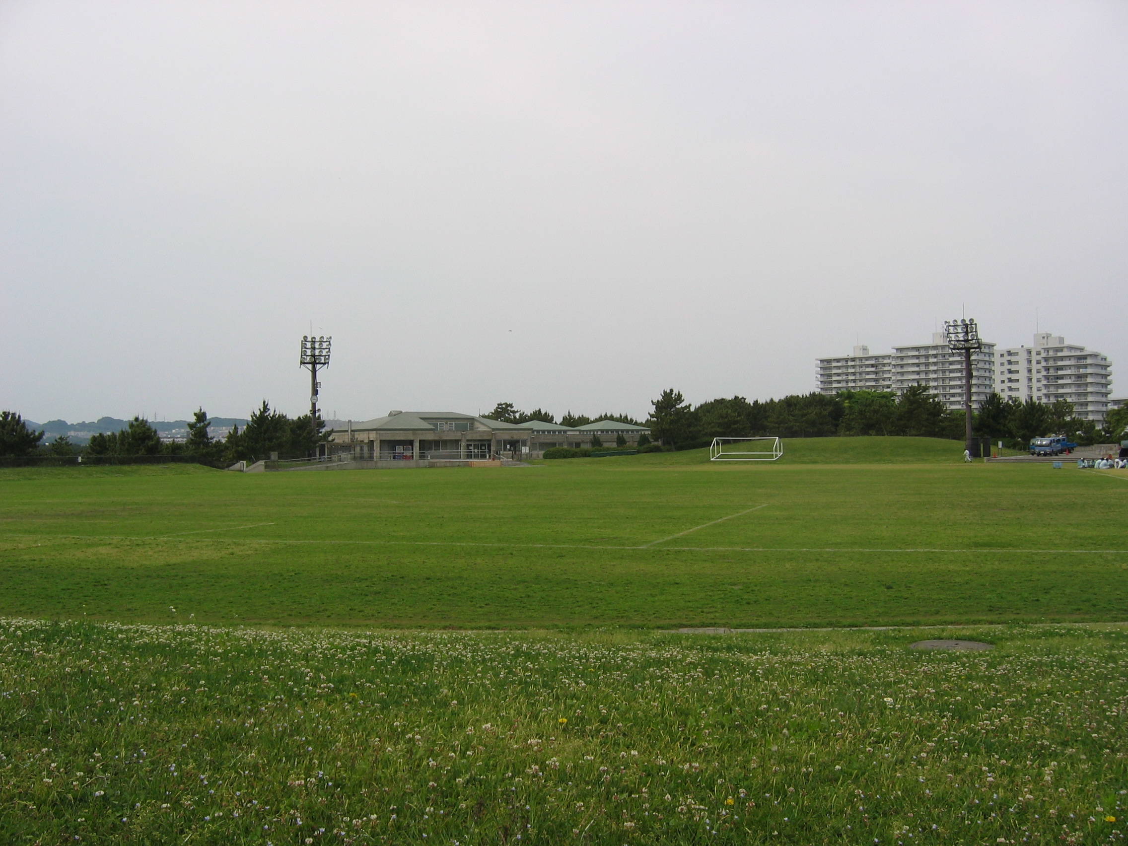 海の公園_施設サービス_多目的グランウンド.jpg