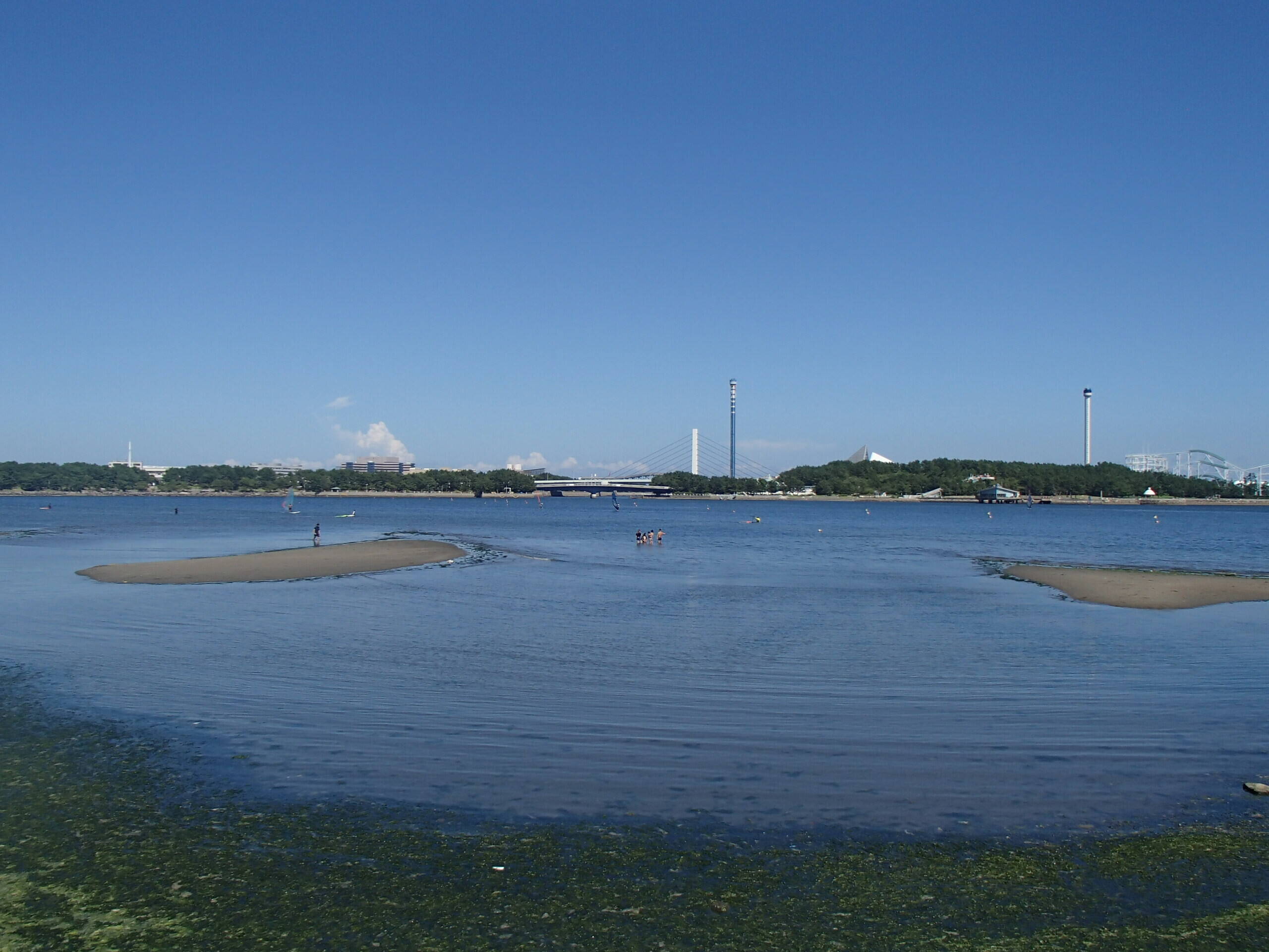 夏も終わりですね ブログ 海の公園公式サイト 公益財団法人 横浜市緑の協会