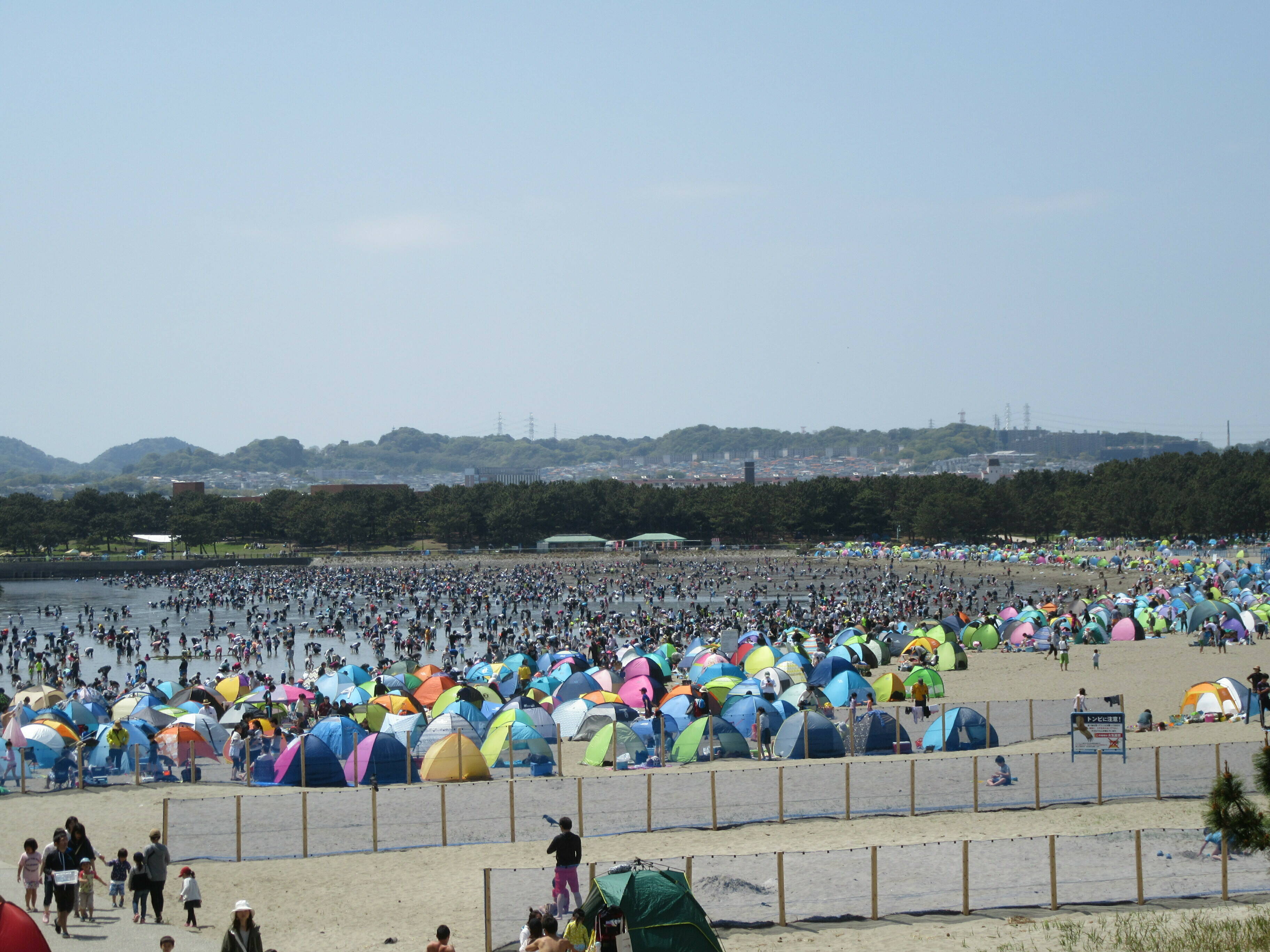 19海の公園 潮干狩り 報告 4月日号 潮干狩り 海の公園公式サイト 公益財団法人 横浜市緑の協会