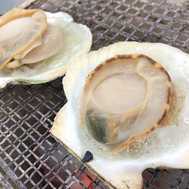 ホタテ.jpg
