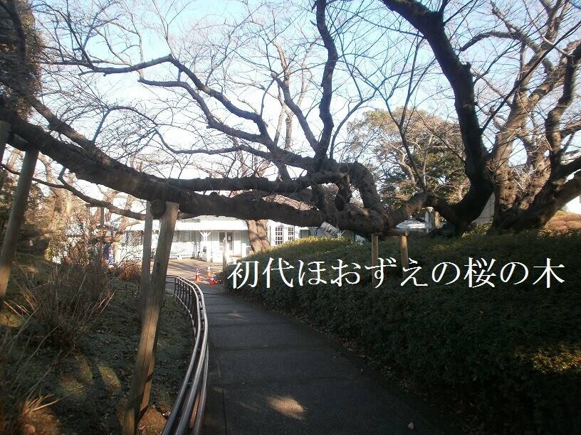Ⅰ加工.jpg