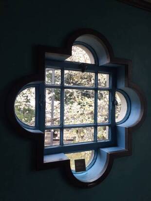 ベーリック・ホール 庭園のオオシマザクラ【3/28】