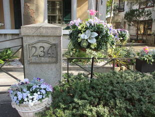 山手234番館 春のハンギングバスケット