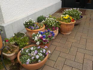 早春のブラフ18番館