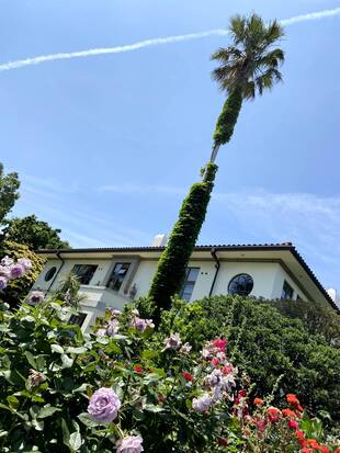 港の見える丘公園公園ビュー