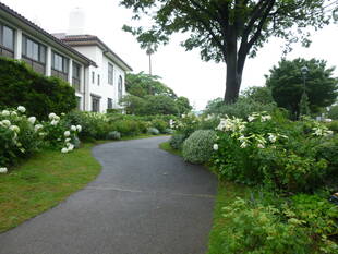 港の見える丘公園ビュー