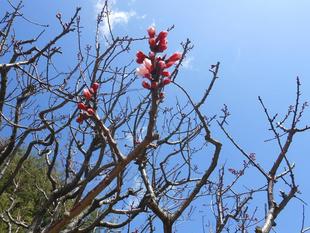 山手111番館 春はすぐそこに