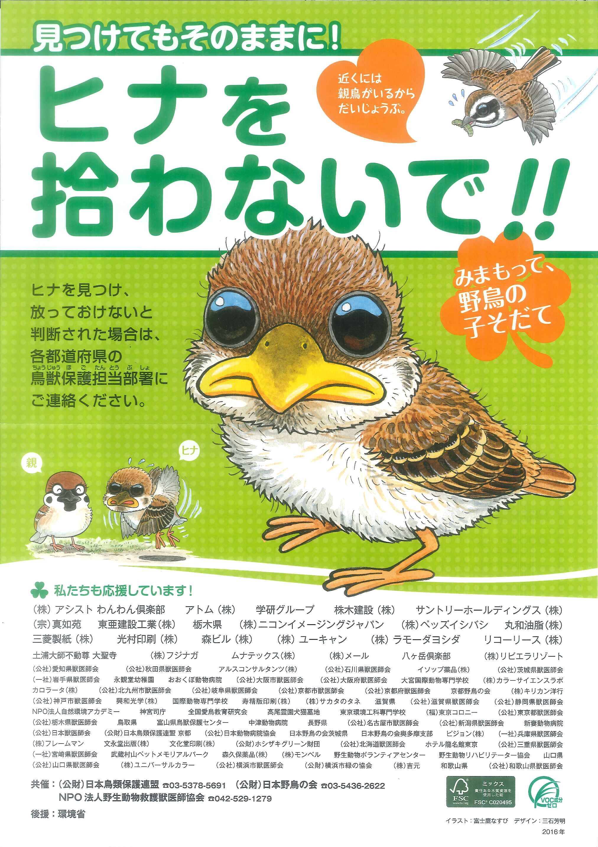 資料⑧ 傷病鳥獣保護ポスター.jpg