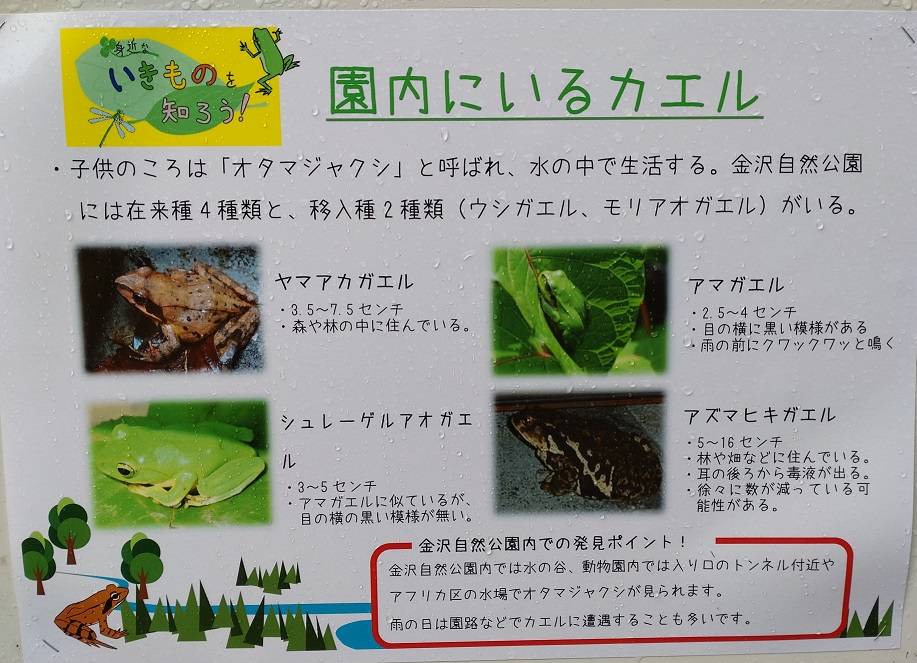 パネル1.jpg