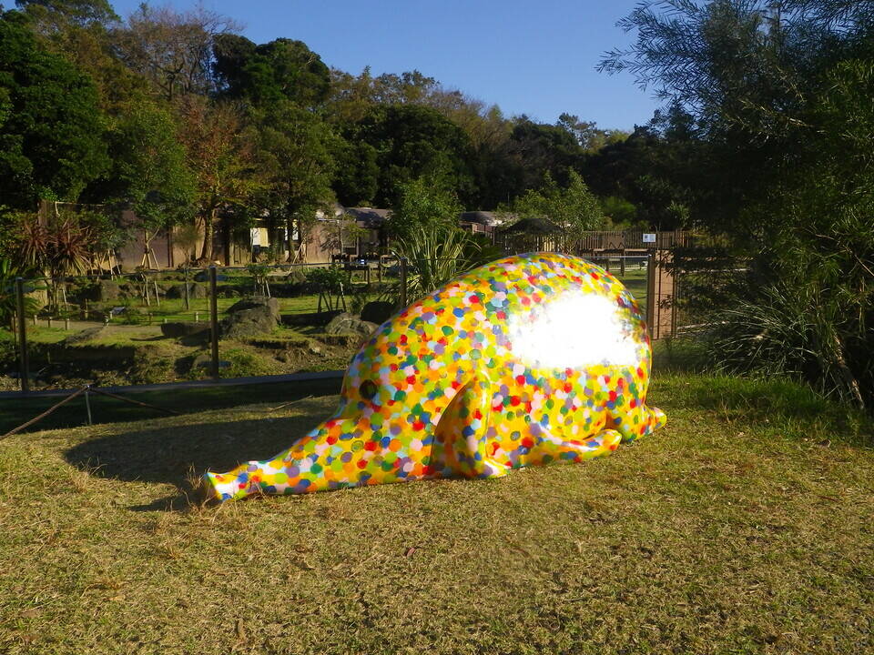 IMGP0053.jpg