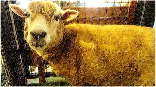 道草を食うの写真