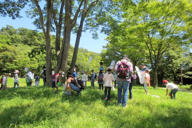 夏休み!親子で楽しむ虫探し!参加者募集 (締切7/7必着)の写真