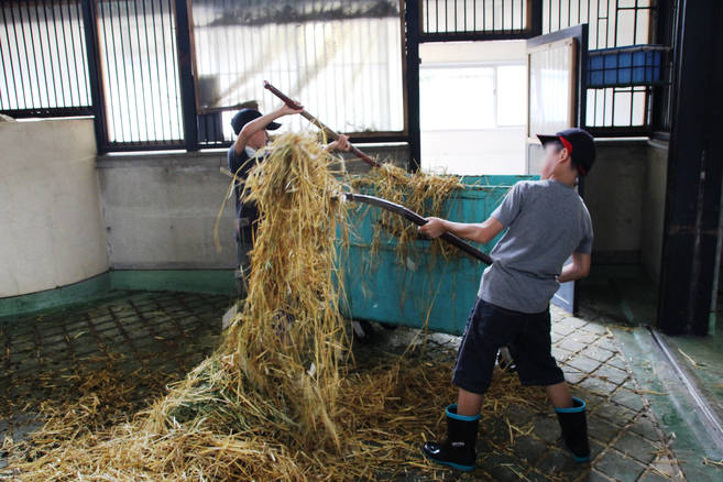 1日飼育体験 小学5・6年生対象 参加者募集 (締切7/7必着)の写真