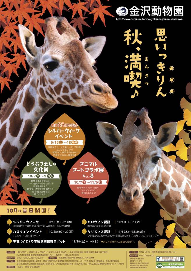 10月~11月のイベント情報の写真