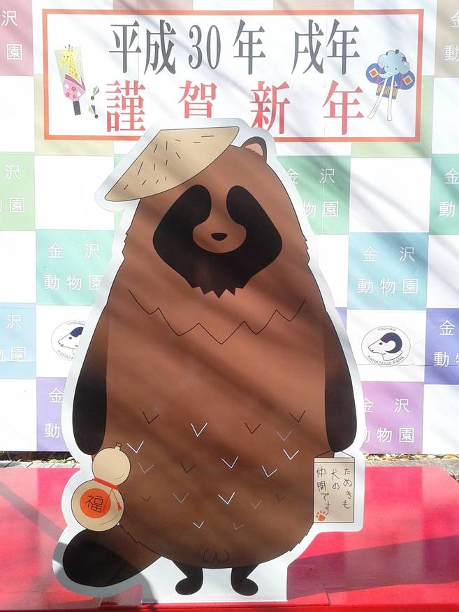 たんたんタヌキの~♪の写真