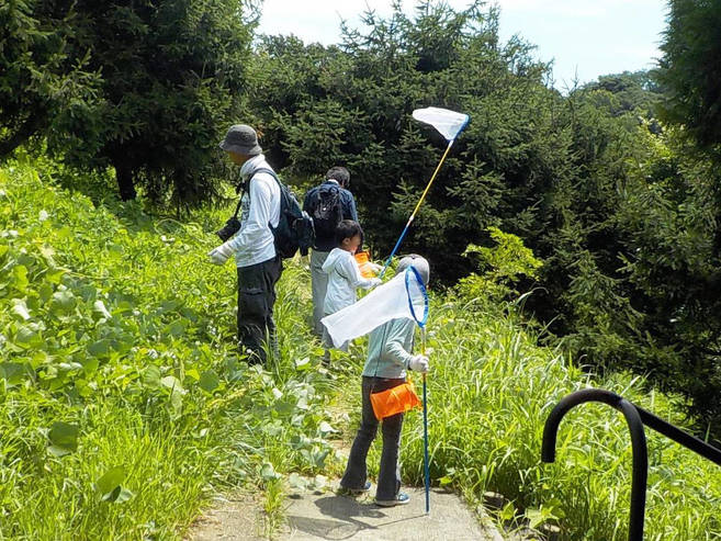 夏休み!親子で楽しむ虫探し!参加者募集 (締切7/13必着)の写真
