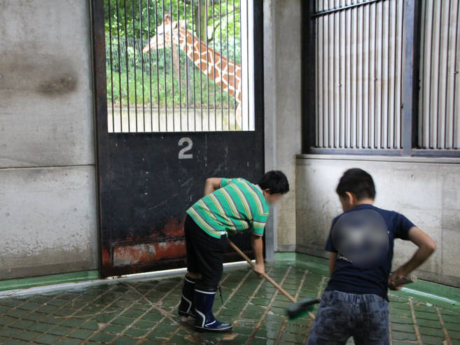 1日飼育体験 小学5・6年生対象 参加者募集 (締切7/6必着)の写真