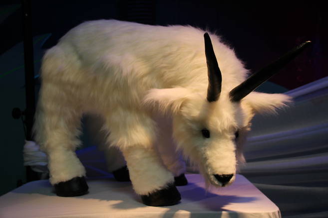 今年で9回目!動物園のアート展の写真