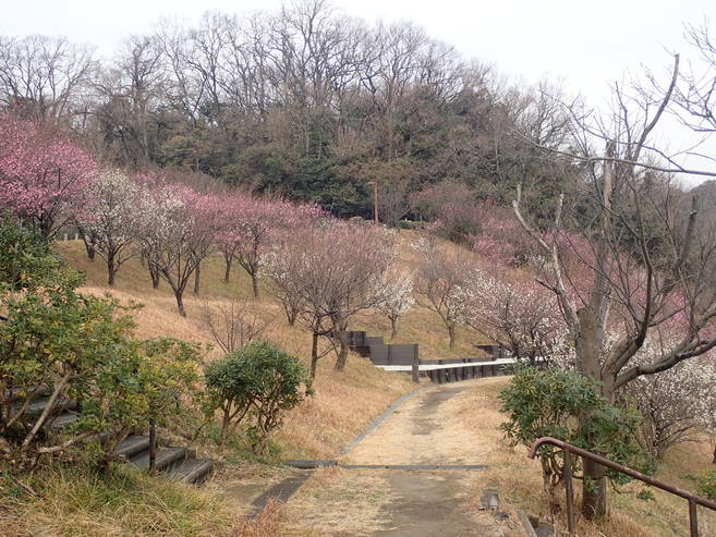 比較的暖かい厳寒の頃の写真
