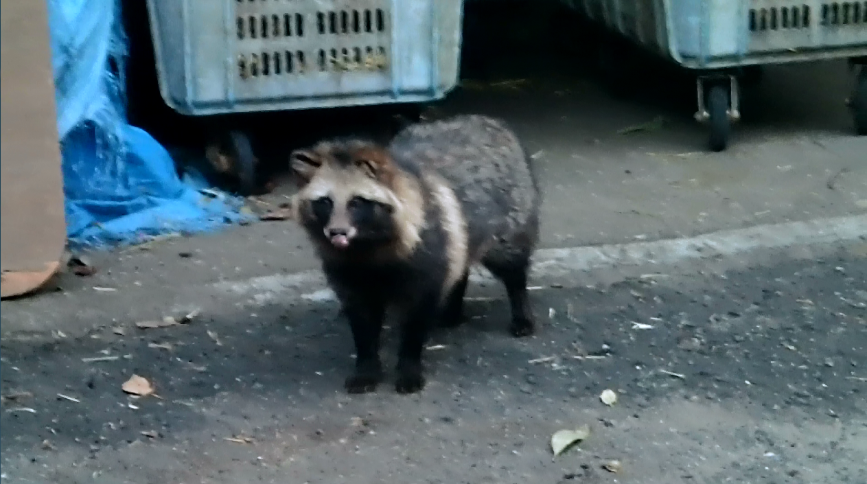 飼育員の小さな幸せの写真