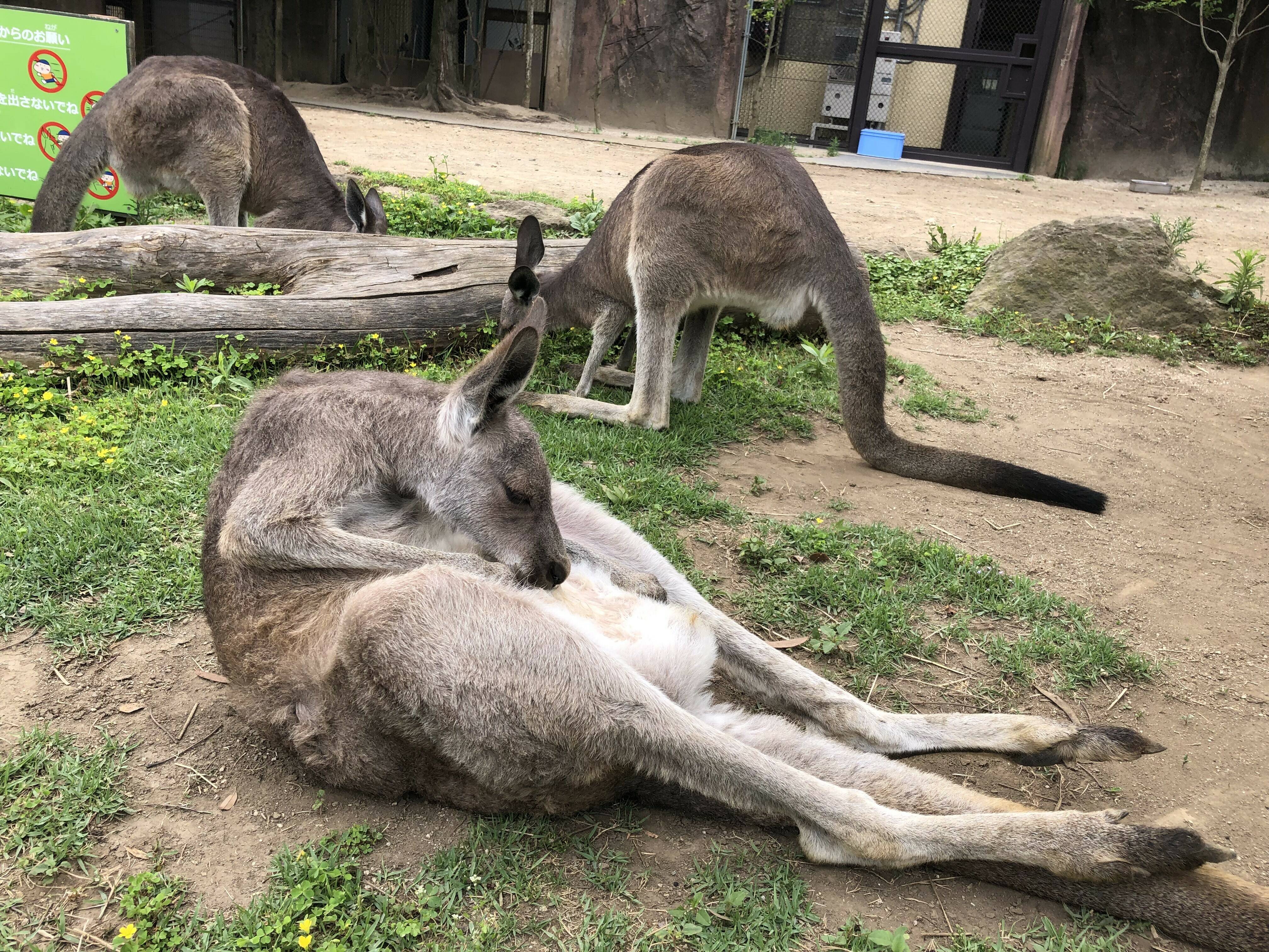 ウォークスルー夏季の利用時間変更のお知らせの写真