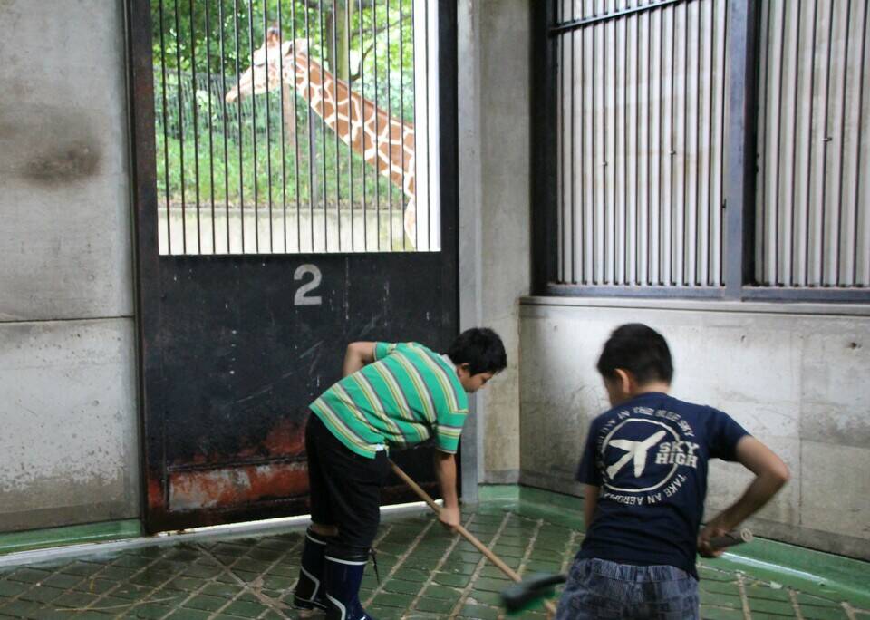 参加者募集!「一日飼育体験」の写真
