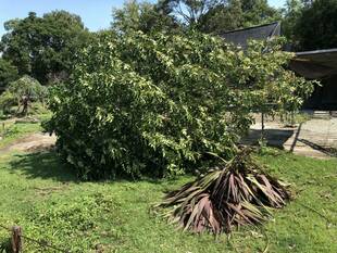 今年の台風被害報告