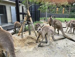 ウォークスルーの利用時間を変更しています