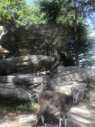 バーラルGirls!台風の影響でお休み中です