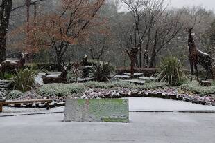 雪の日とキリン