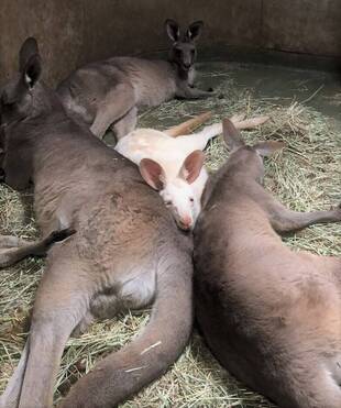 おやつタイムと寝室