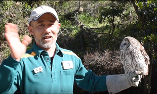臨時休園中の無観客ガイド