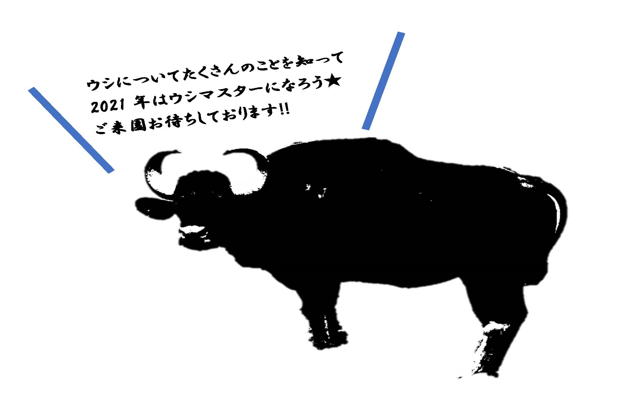 ウシウシうっしっし展の写真