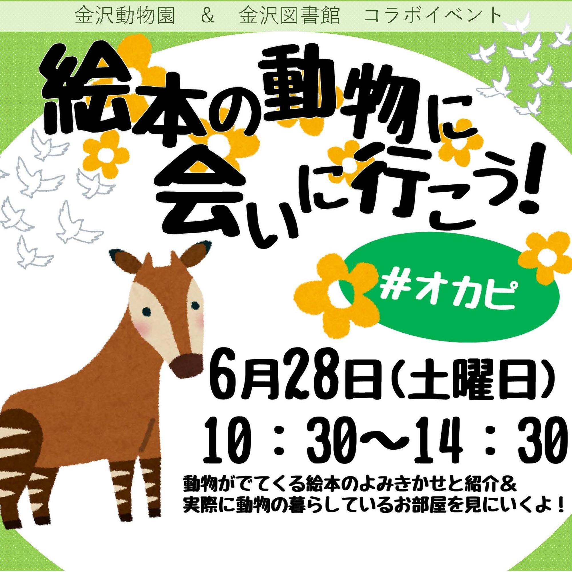 【金沢動物園×金沢図書館連携企画】絵本の動物に会いに行こう!#オカピの写真