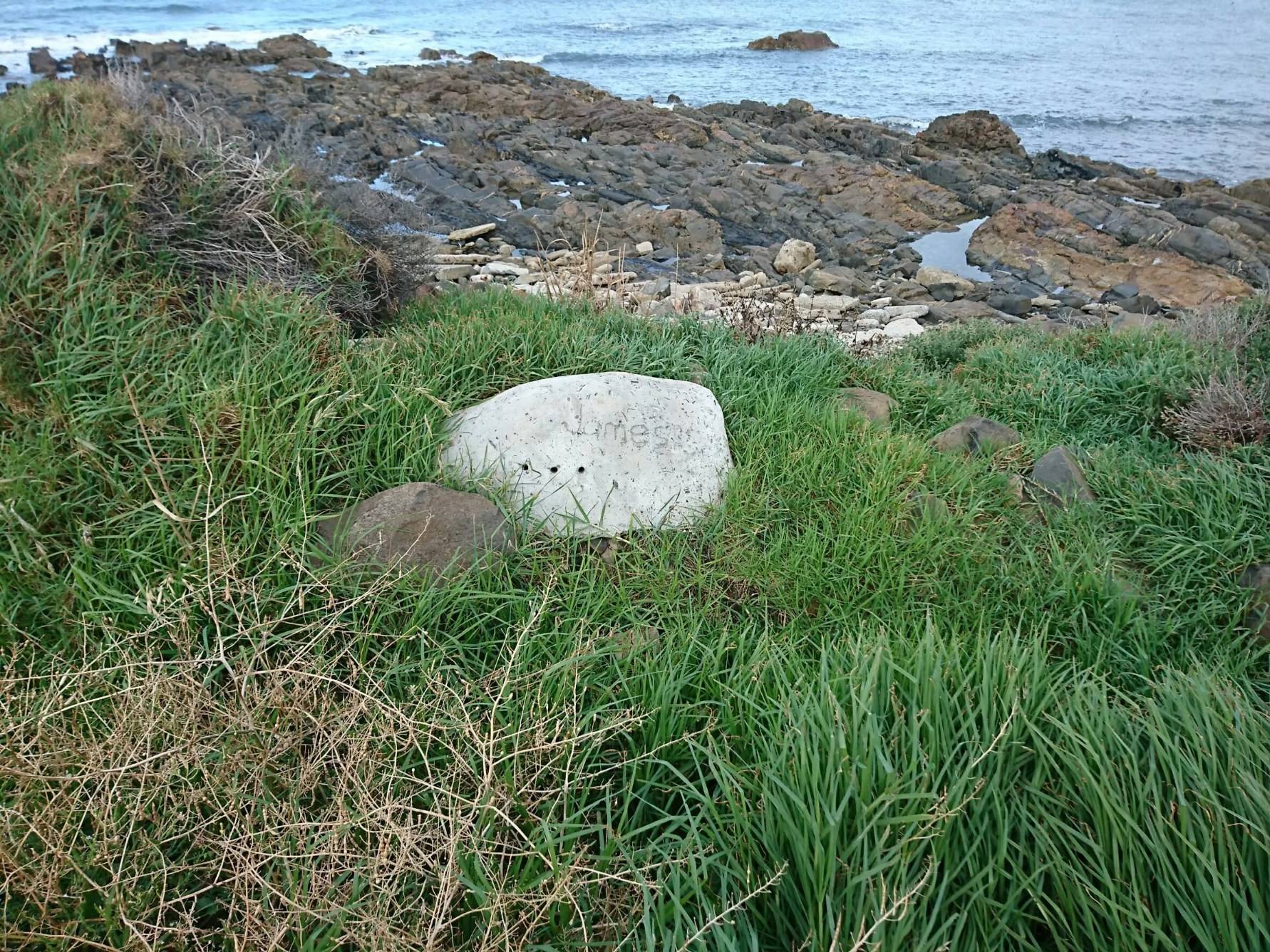 写真⑨ 名前の書いてある石.jpg