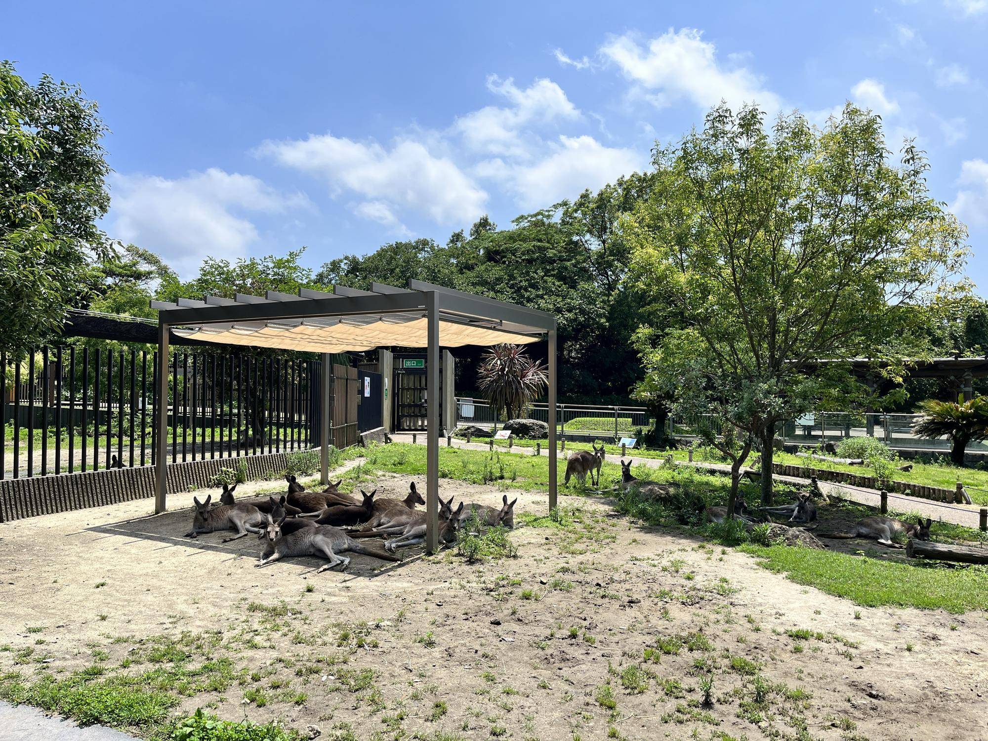 ウォークスルーの日除け.jpg
