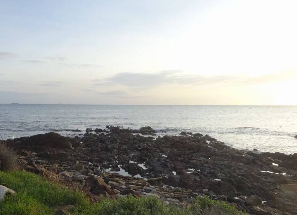 写真① 海岸.jpg