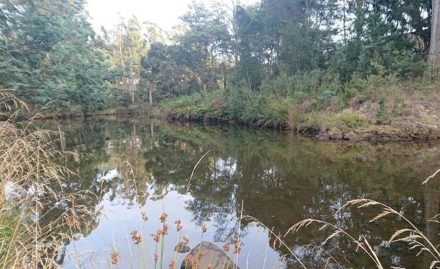 写真⑧ 静かな川.jpg