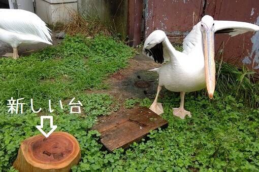 嫌です2.jpg