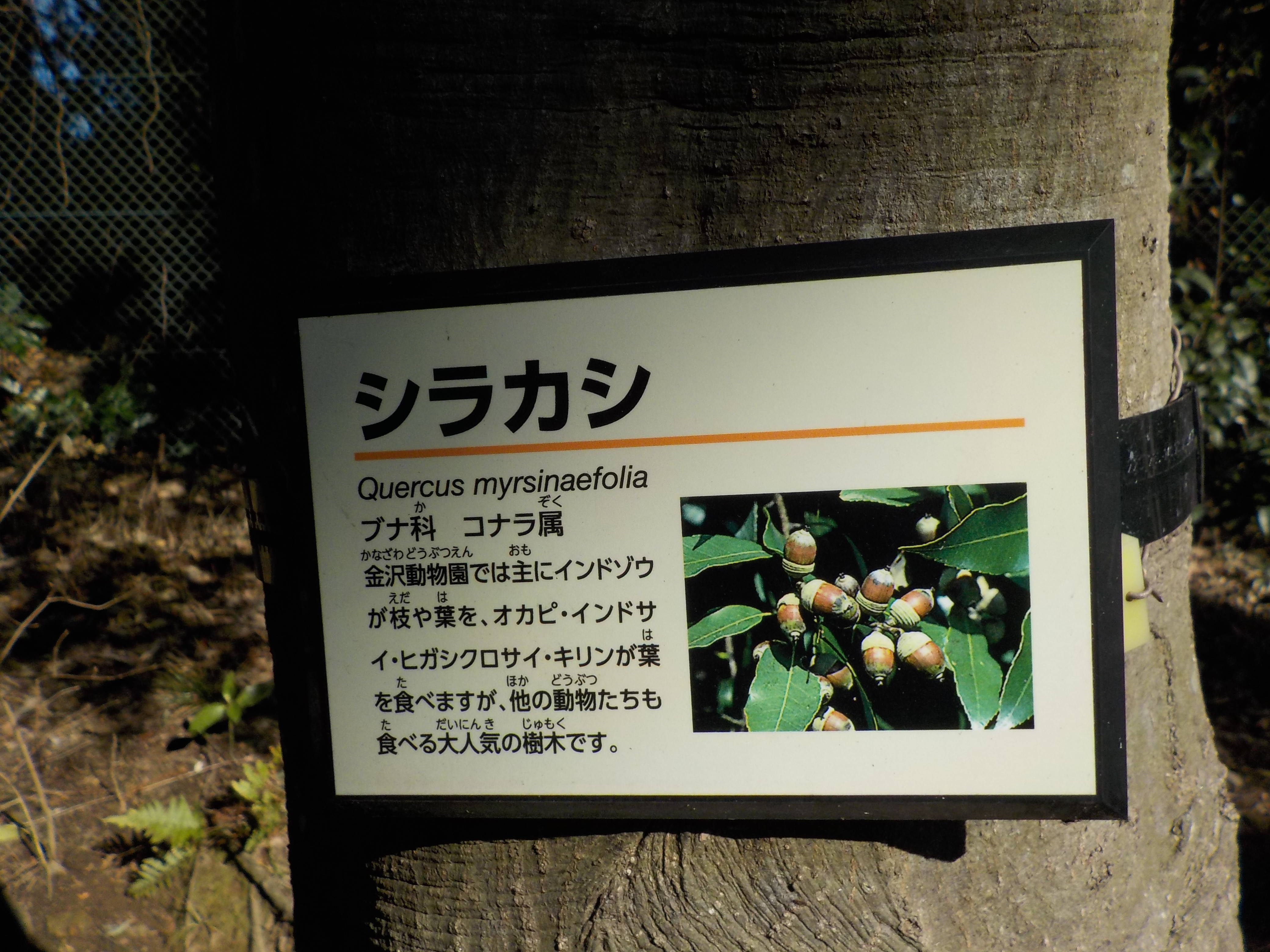 DSCN1822.jpg