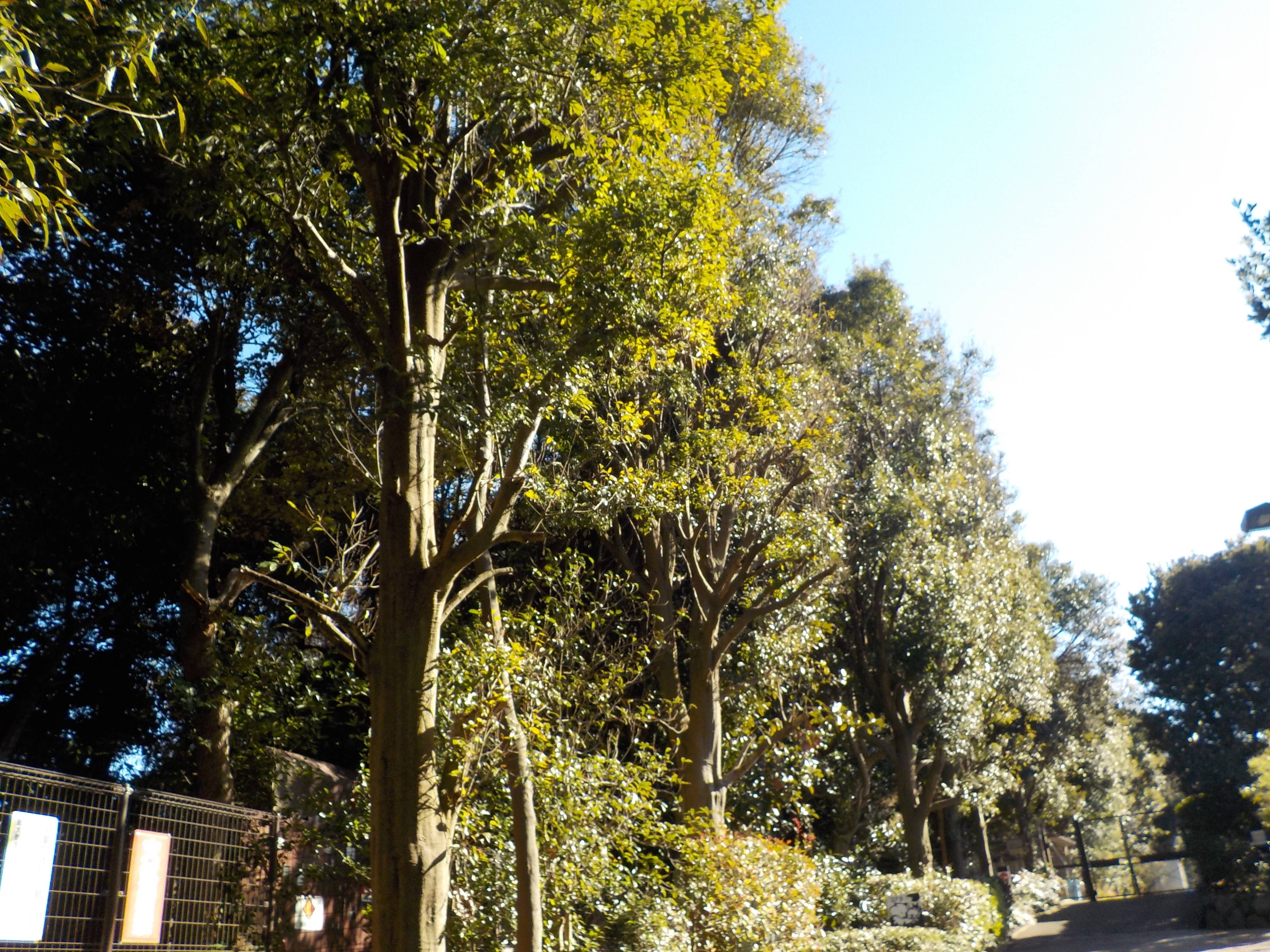 DSCN1823.jpg