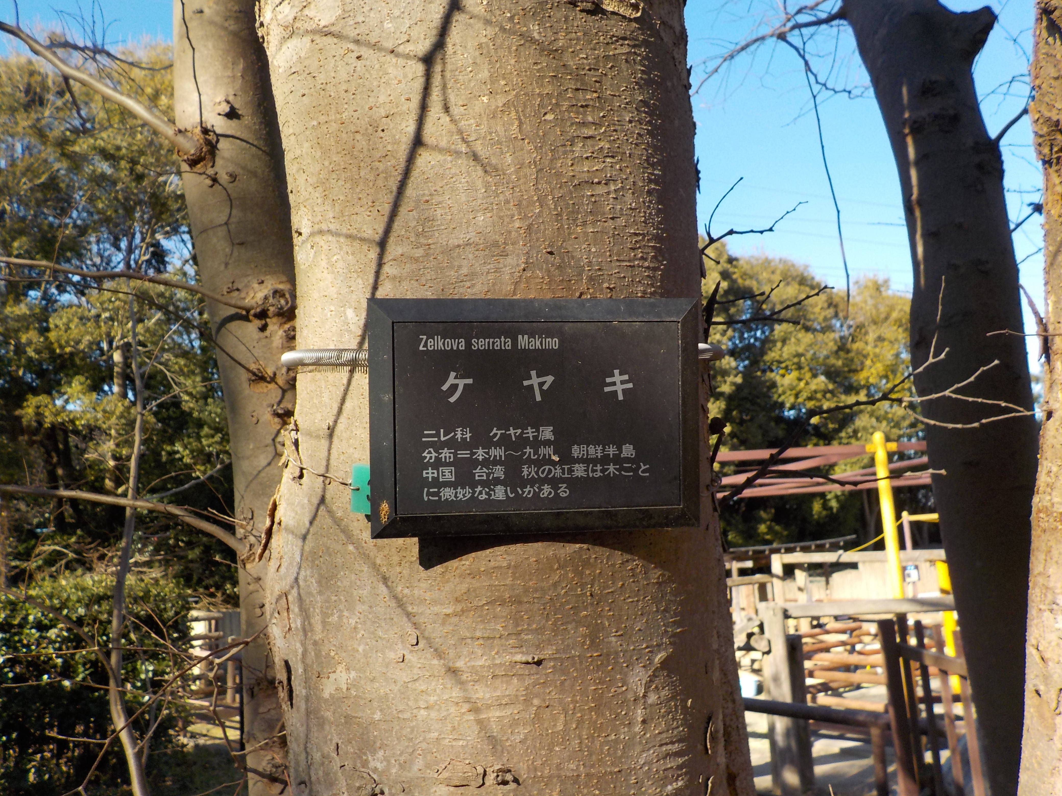 DSCN1831.jpg