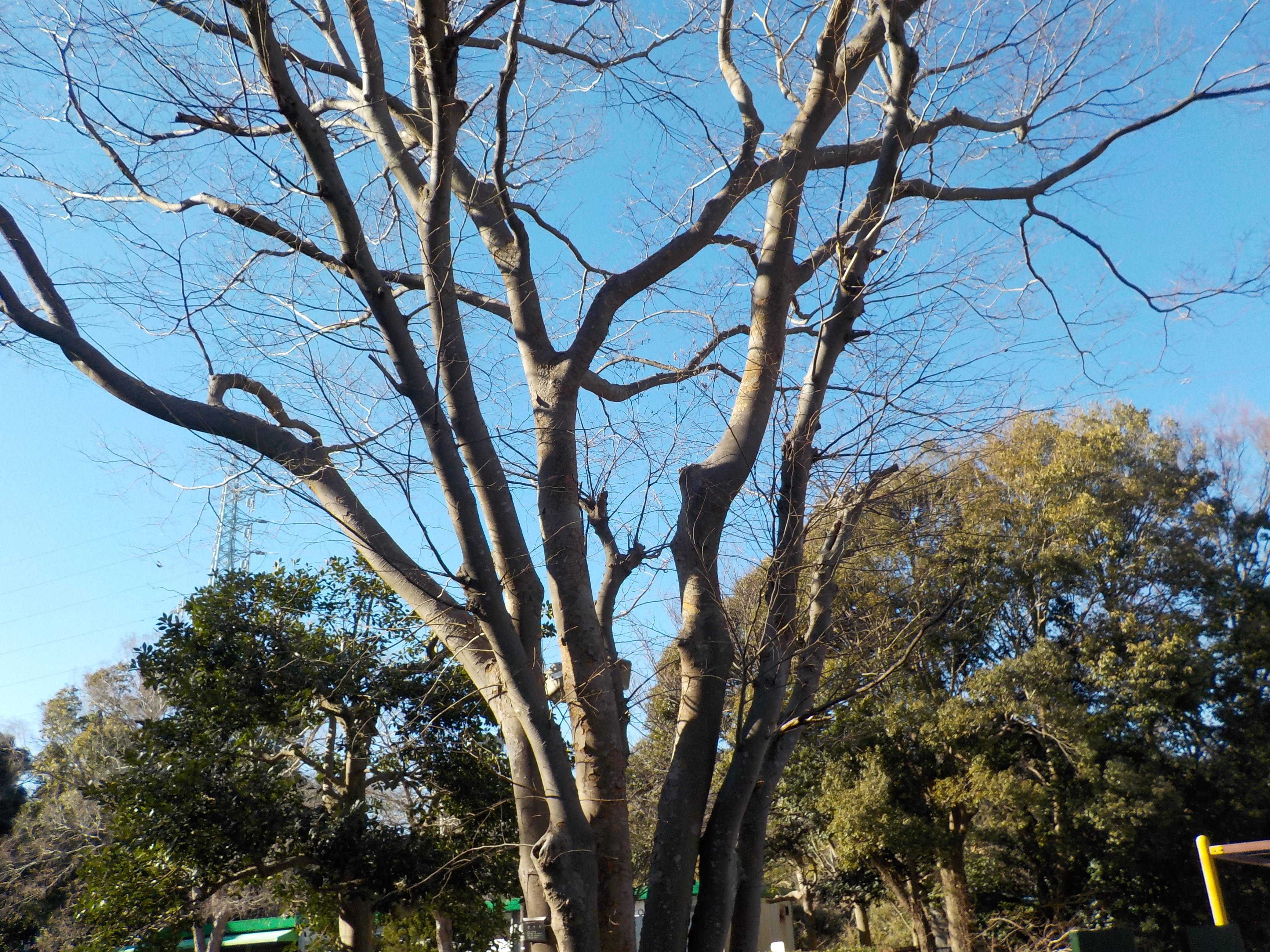 DSCN1832.jpg
