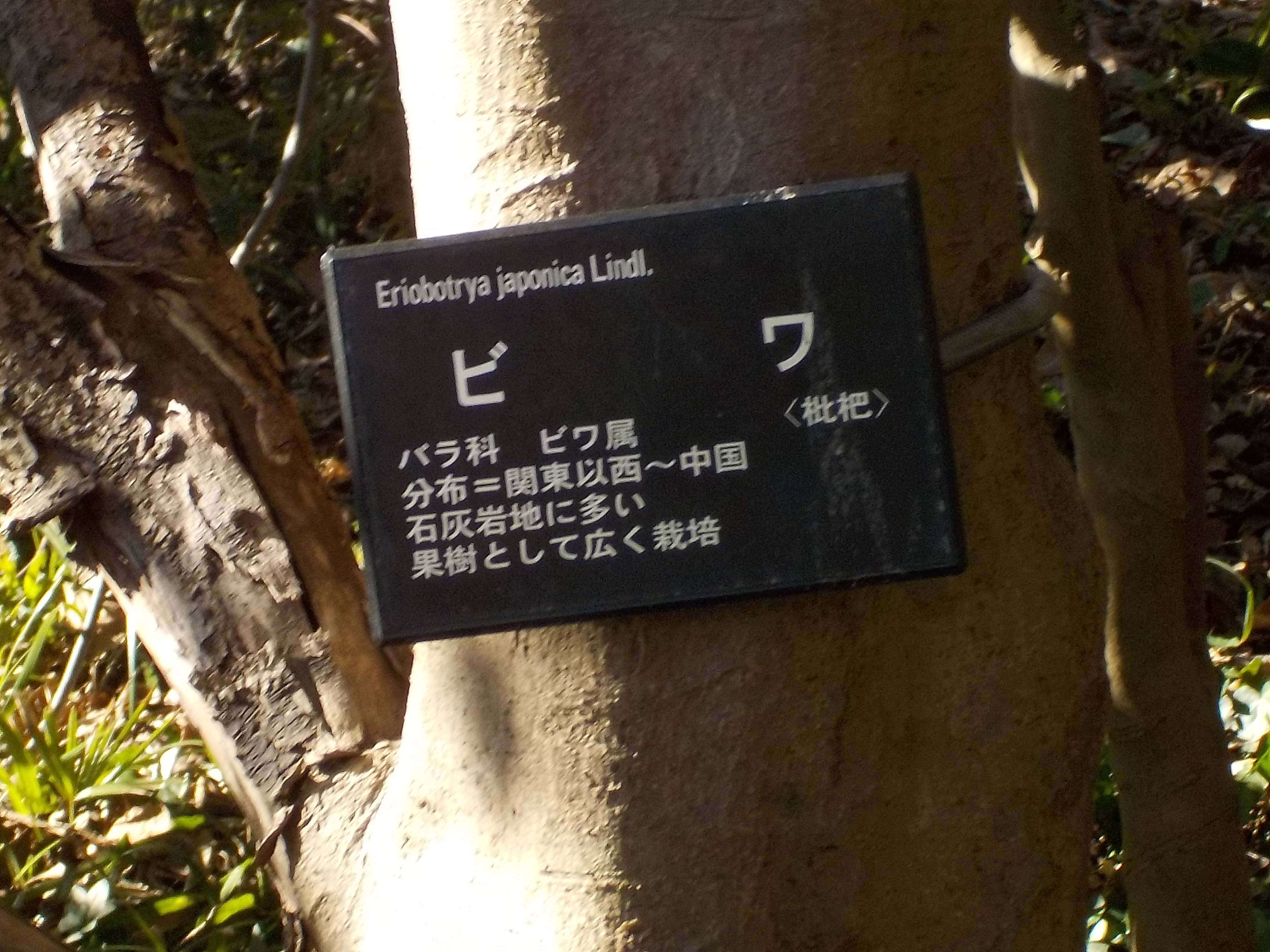 DSCN1842.jpg