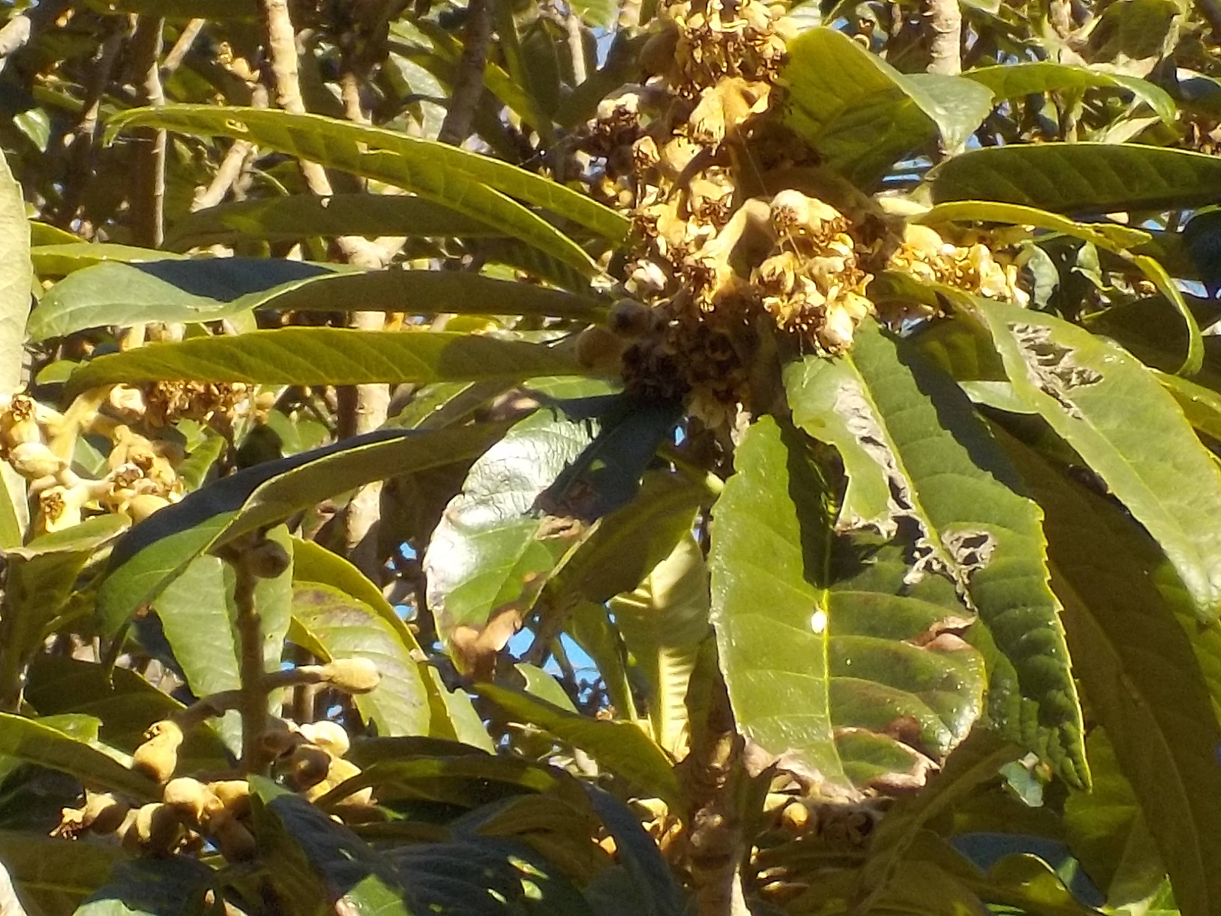 DSCN1845.jpg