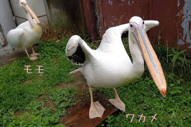 嫌です3.jpg