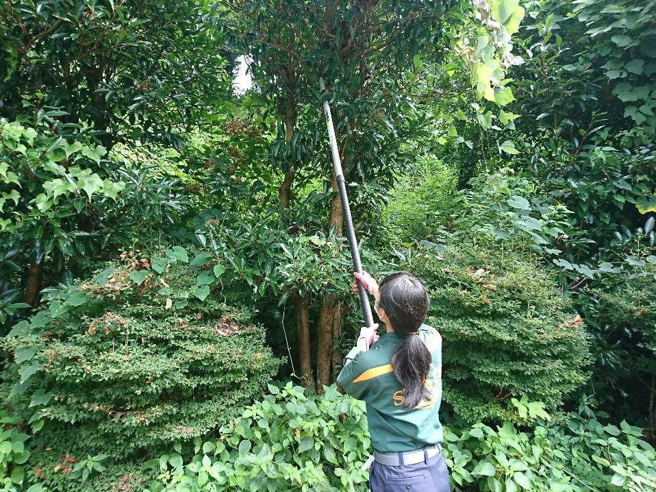 写真② 枝を刈る飼育スタッフ.jpg