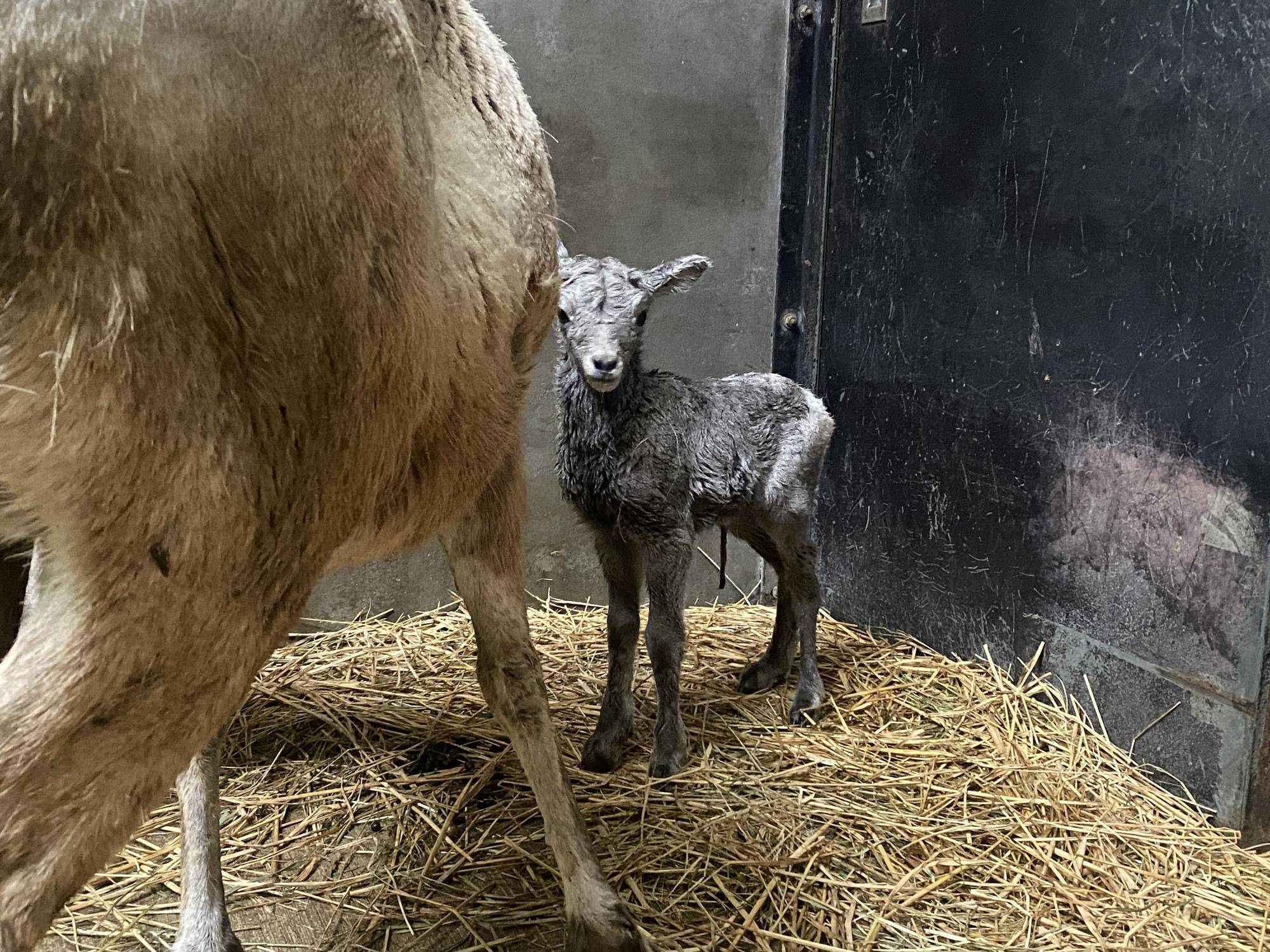 5 翌朝の様子.jpg