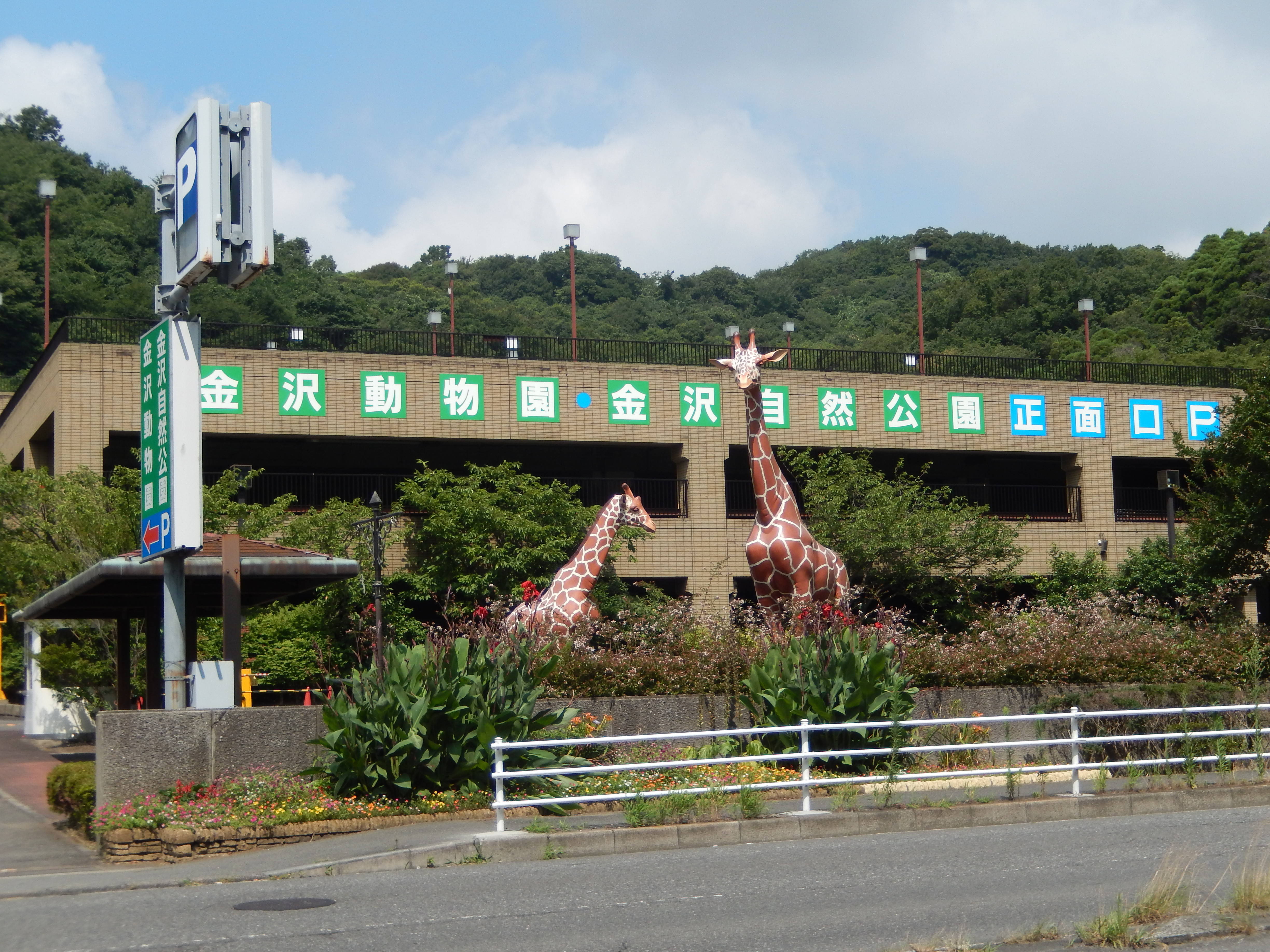 自然 動物園 金沢