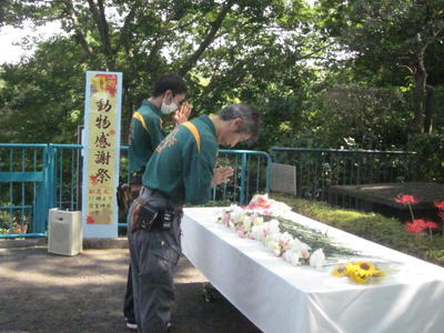 IMG_6792.JPG
